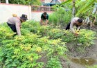 Kapolsek-Krembung-Cek-Pekarangan-Pangan-Bergizi-Desa-Kandangan