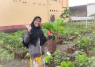Pekarangan-Bergizi-Binaan-Pak-Bhabin-Jadi-Wisata-Pasar-Tangguh:-Sensasi-Petik-Sawi-di-KTS-Karangrejo-Jember