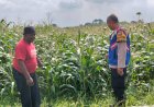Kapolresta-Sidoarjo-Instruksikan-Jajaran-Optimalkan-Program-Ketahanan-Pangan