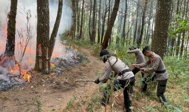 Sinergitas-Polres-Ngawi-Bersama-TNI-dan-Pemkab-Upaya-Padamkan-Api-di-Lereng-Gunung-Lawu