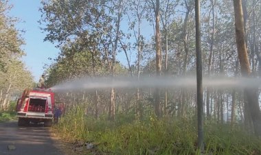 Polisi-dan-Petugas-Gabungan-Berhasil-Padamkan-Kebakaran-Hutan-Jati-di-Kabupaten-Malang