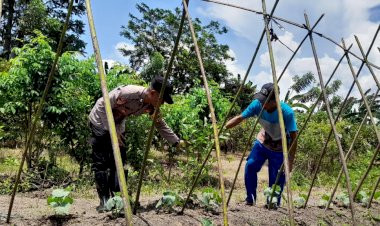 Polisi-Cek-Ketahanan-Pangan-di-Desa-Sambibulu