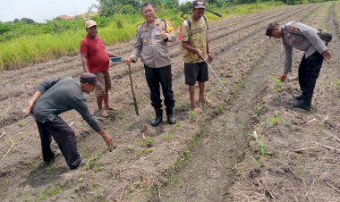 Bhabinkamtibmas-Desa-Kenongo-Bersama-Warga-Bahas-Pengembangan-Swasembada-Pangan-Mandiri