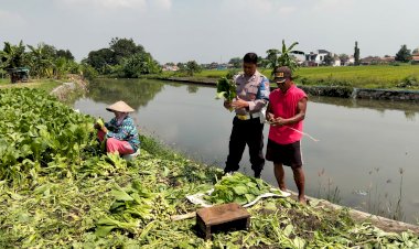 Bhabinkamtibmas-Desa-Wonokasian-Tinjau-Lahan-Pekarangan-Bergizi-Warga-Dukung-Program-Ketahanan-Pangan-Nasional