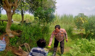 Kanit-Binmas-Polsek-Prambon-Dampingi-Warga-Panen-Sayur-Krai-Sebanyak-110-Kg