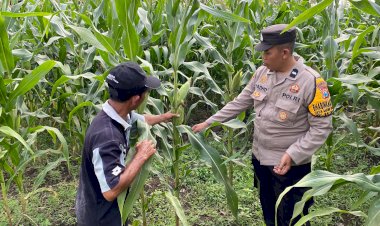 Bhabinkamtibmas-Desa-Bakung-Temenggungan-Masifkan-Program-Ketahanan-Pangan-Polresta-Sidoarjo